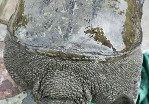 134778125_118803316748513_1456287476467635285_n