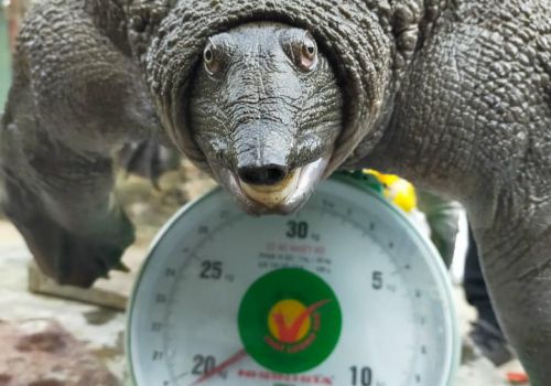 135184404_118803300081848_8454924899156745066_n