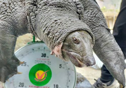 135319698_118803390081839_8620546571312945418_n