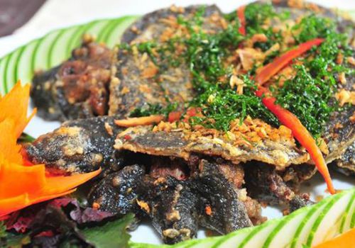 Khám phá mâm cỗ chuyên ba ba gồm có món gì?